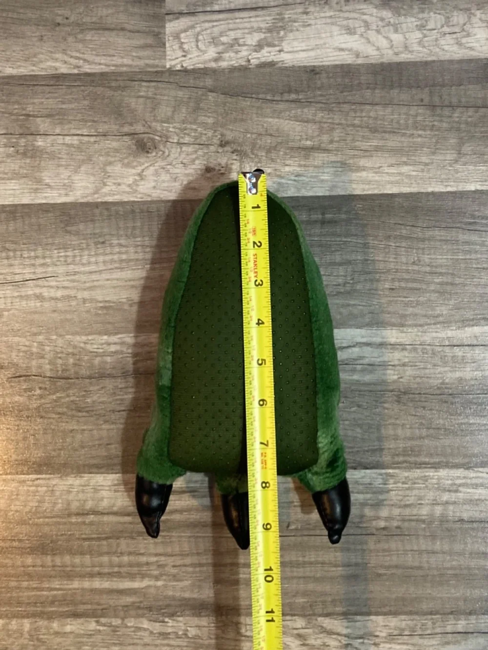 Dino slippers